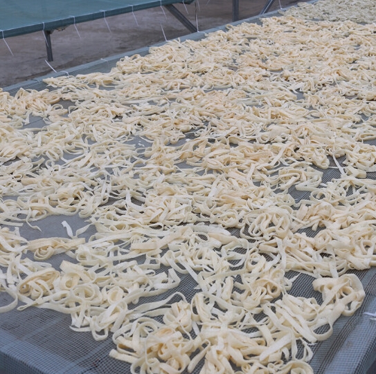 微信截图_20240123104601